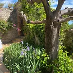 Mas D'en Portes Villelongue-dels-Monts