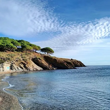Сasa de vacaciones Mas D'en Portes Villelongue-dels-Monts