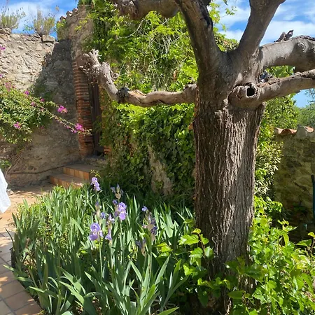 Mas D'en Portes Villelongue-dels-Monts