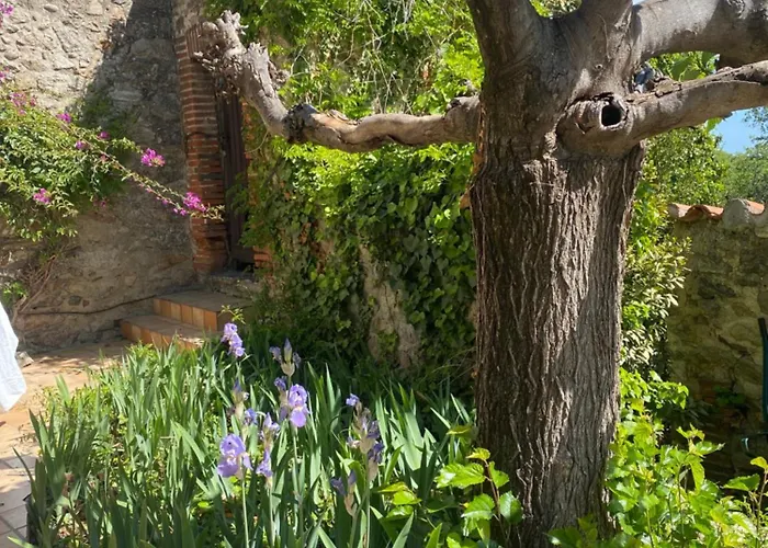 Mas D'en Portes Villelongue-dels-Monts